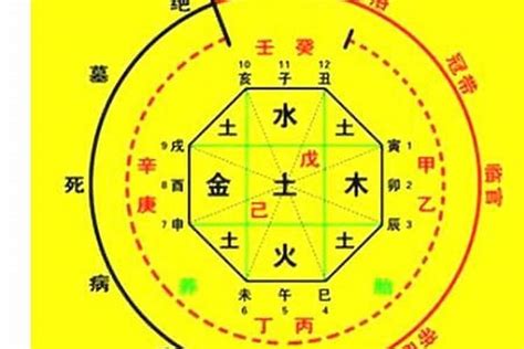 八字喜水木|怎样看八字喜用五行 八字喜水木怎么旺自己